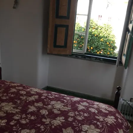 Orange Tree House, Silver Coast, Alcobaca, Nazare * Alpedriz