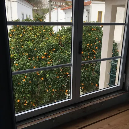 Orange Tree House, Silver Coast, Alcobaca, Nazare Σπίτι διακοπών