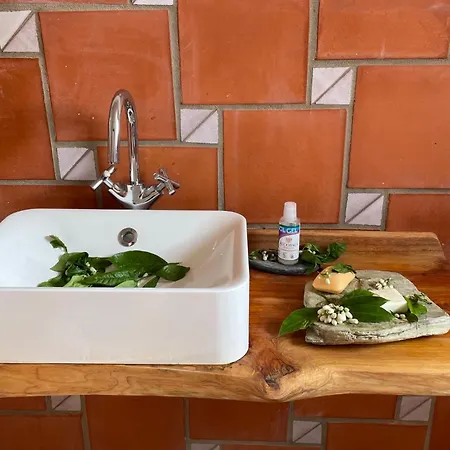 Orange Tree House, Silver Coast, Alcobaca, Nazare