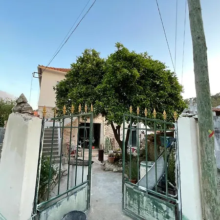 Orange Tree House, Silver Coast, Alcobaca, Nazare *