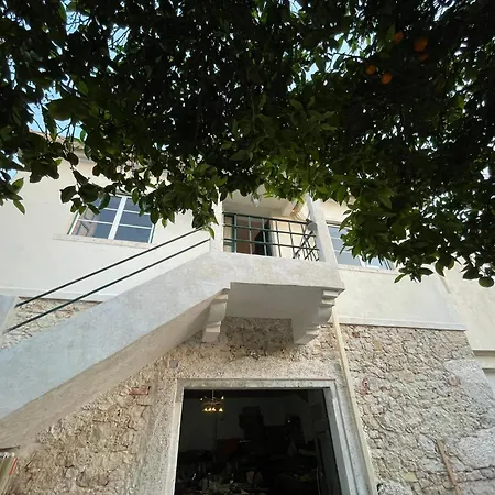 Orange Tree House, Silver Coast, Alcobaca, Nazare 別荘