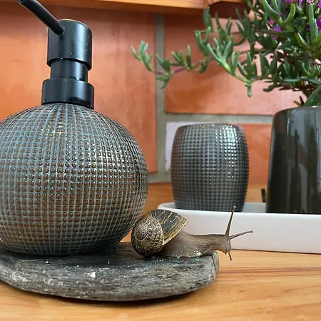 別荘 Orange Tree House, Silver Coast, Alcobaca, Nazare Alpedriz