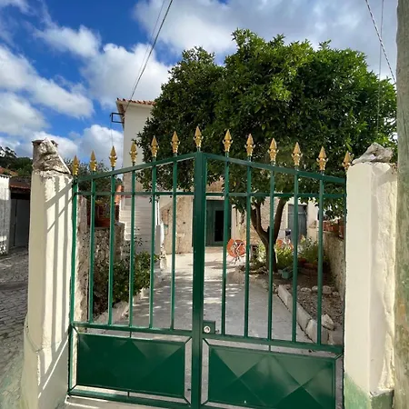 Orange Tree House, Silver Coast, Alcobaça, Nazaré Casa de Férias *